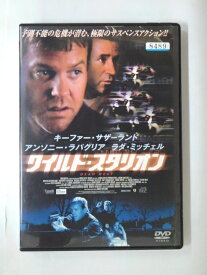 ZD51491【中古】【DVD】ワイルド・スタリオン