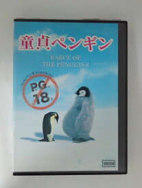 ZD52062【中古】【DVD】童貞ペンギン