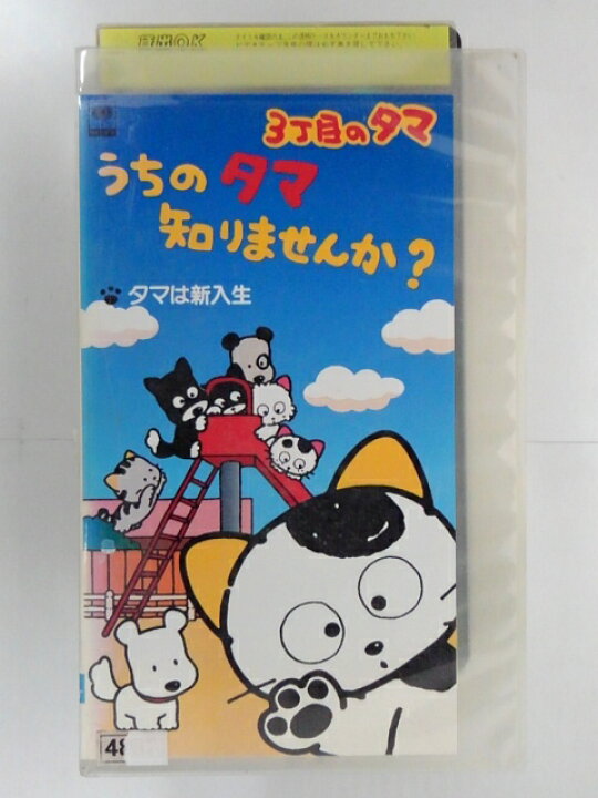 楽天市場 Zv 中古 Vhs 3丁目のタマうちのタマ知りませんか タマは新入生 ハッピービデオ 楽天市場 Zv 中古 Vhs 3丁目のタマうちのタマ知りませんか タマは新入生 ハッピービデオ