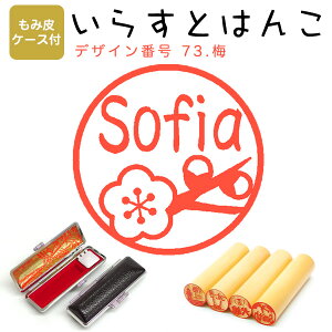 CXg͂ сiˁj E12.0mmyݔP[Xtz 73Fu~v ͂ nR  X^v l[ V`n^ yz