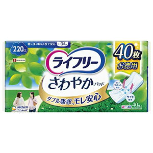 Ct[ ₩pbh 220cc ɑƂ1ňSp 40 34cmyAꂪCɂȂz