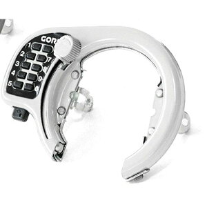 S(GORIN) {^O zCg GR500-WH