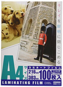 I[d@ 100~N~l[^[tB100 A4 LAM-FA41003