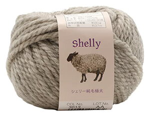 A XL[ ҂ݖю VF[ыɑ(10ʃZbg) Col.3013