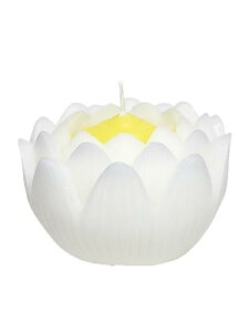 }GX 낤 @̉  24  nX zCg  9×9×6.5cm