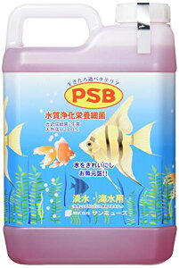T~[Y PSB 2.1L