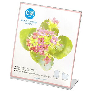 nNo HAKUBA tHgX^h ANLt[ FTCY FACL-SK NA