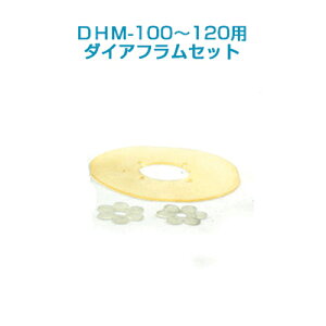 GA[|v DHM-100-120p_CAtZbg