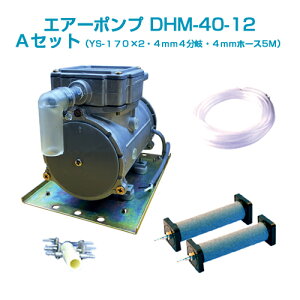 GA[|vDHM-40-12 AZbg(12vobe[p)