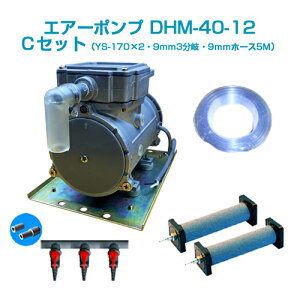 GA[|vDHM-40-12 CZbg(12vobe[p)