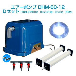 GA[|vDHM-60-12 DZbg(12vobe[p)