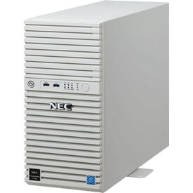 NEC Express5800/T110j 2nd GenN8100-2812Y OSレス Pentium G5420 メモリ 8GB ECC HDD 1TB ×4 (SATA) DVD RAID 0 / 1 / 5 / 6 対応 サーバ server デスクトップ パソコン 新品