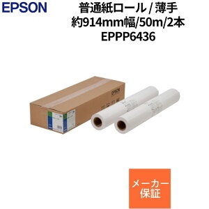 �y�ő�70%OFF&�|�C���g30.5�{�z �G�v�\�� ���ʎ����[�� ���� ��914mm�� 50m 2�{ �V�i EPPP6436 �y����s��/���ԑюw��s�z