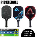 全47種 ピックルボール パドル セット ラケット×2個 ボール×4個 収納バッグ付き ピックルボールセット カーボンファ…