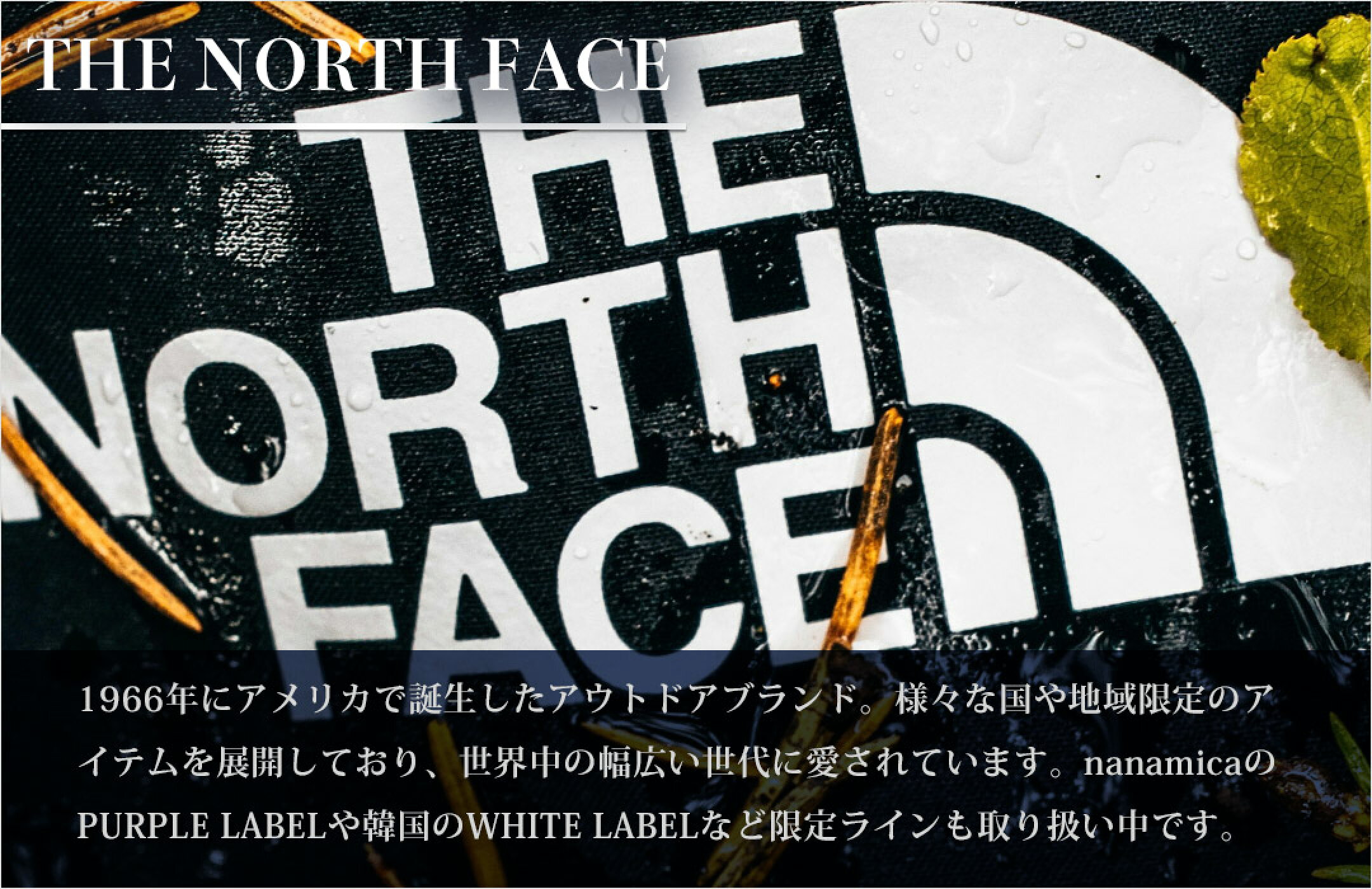 THE NORTH FACE
