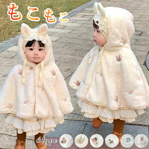 xr[ |` }g  h {A ~p |`P[v P[v AE^[ q|` P[v qp R[g uPbg xr[ Ԃ LbY oYj Mtg lC a