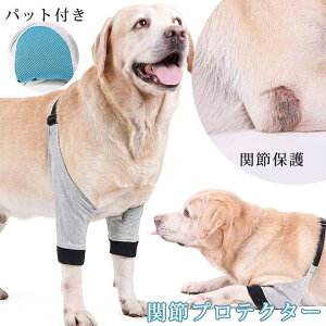 関節プロテクター 犬前足サポーター 犬 サポーター 前足 中大型犬用膝サポーター 犬用 犬服 関節保護 固定 リハビリ ひざ用老犬介護 介護用品怪我防止老犬介護 ペットケア 送料無料