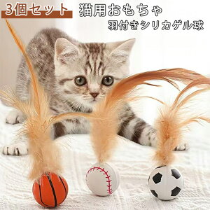 L e̓{[ 3Zbg ? Ht{[Ĥ ^sƃXgX  v[g Mtg 3Zbg  ^s΍ XgX LptFU[{[