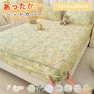 1K ӂG {bNXV[c Z~_u g h ۉ ӂӂ _炩 ʋC ӂ RR  Vv  K bNX yz