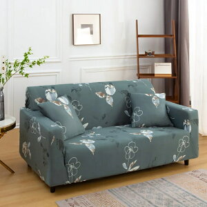 pGNEWPRODUCT Vpi Lanmolife-hCN\t@Jo[,یJo[,Lk,rO[,xbh[,ze,Ƌ,Ƃ̑,1