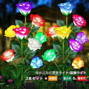 2�{�Z�b�g LED �K�[�f�����C�g ���� �o���̉� �\�[���[���C�g ���O�Ɩ� �����_��/���� ���ÃZ���T�[���C�g ���ߍ��ݎ� �h�� �h�J�^ �K�[�f���Ɩ� �Ő� �뉀�� ���O�p ������� DIY ���͋C �ʑ� 