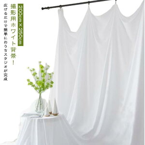 ���B�� �z �q�ǂ� 200cm×250cm �w�i�z �ʐ^ �l�� �� �B�e�V�[�g �y�b�g �V�[�g �B�e �� �B�e�p�w�i�V�[�g �Ԃ���� �x�r�[ �w�i �X�N���[�� ���� ������ �^���� ���� �z���C�g ���F �w�i �{�[�h yo