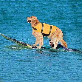 犬 ライフジャケット 小型犬 中、大型犬 安心 安全 水遊び 海 川 水害 災害グッズ 救命胴衣 介護用ハーネス 春 夏 大型犬 ライフジャケット ペット用 ライフ ジャケット 犬用浮き輪 犬服 水遊び 海 川 プール 小型犬 中型犬 大型犬