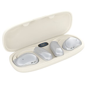 pGNEWPRODUCT CXCz Bluetooth5.3 u[gD[X R[hXCz Rh  Ў X|[c y nYt[ ҋ@ v[g