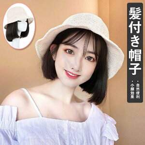 tXq fB[X  EBbO C  s  t H ~ R fB[X XqEBbO XqtEBbO EBbO J[  Xq̌^ EBbOtLbv ×pXq 