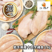 楽天市場】ニュークイックの通販