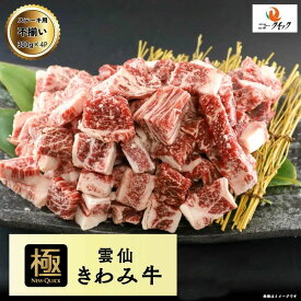 送料無料　雲仙きわみ牛 長崎県産　ひと口ステーキ用 1.2kg　(300g×4P) 国産 牛肉