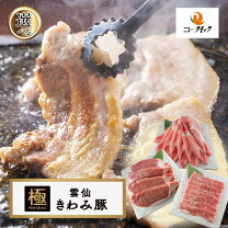 楽天市場】ニュークイックの通販