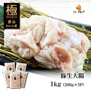 _傫ݓ؁@ Yؐ咰 1kg (200g×5P) 茧Y ؓ ؓ Y