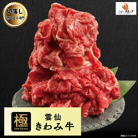 送料無料【超小分け】 雲仙きわみ牛　長崎県産 切落し 1kg (250g×4P) 国産　牛肉