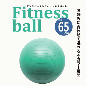 �y���������z ���K�{�[�� �X�|�[�c�G�� �o�����X�{�[�� �A���o�[�X�g ���K �t�B�b�g�l�X �_�C�G�b�g �؃g�� �G�N�T�T�C�Y LM23105 �yAP�z
