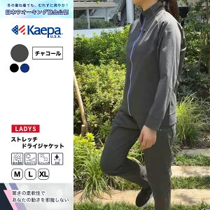 yz Kaepa W[W  WPbg fB[X  {EI[LO PCp WL703352 yAPzH~|CgAbv