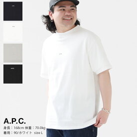 【正規取扱店】A.P.C.(アーペーセー) KYLE Tシャツ メンズ※1枚のみネコポス配送可能です。
