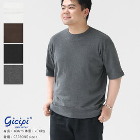 gicipi(ジシピ) TONNO クルーネックリラックスフィットTシャツ※簡易包装で1枚のみネコポス配送可能です。