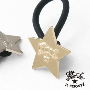 IL BISONTE(Cr]e) wA^C(54232305164)ȈՕ6_܂Ń[֔z\łB