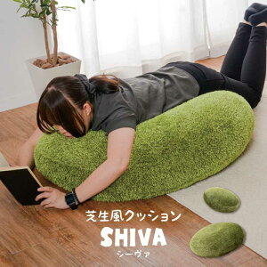 Ő NbV V[@ ӂ EhNbV M/L a60cm/90cm  O[ 傫 傫  ~` lH ӂґ ʋC ۉfM I[V[Y N ObY