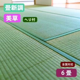 【全国対応】畳替え（新調/へり付き/6畳）美草 樹脂表 基本施工費込