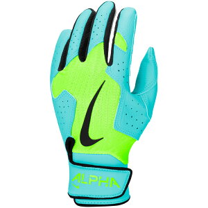 NIKE iCL 싅 x[X{[ WjAp [X At@ 2.0 obeBOO[u BA1202-313 GNgbNO[/K}u[/ubN