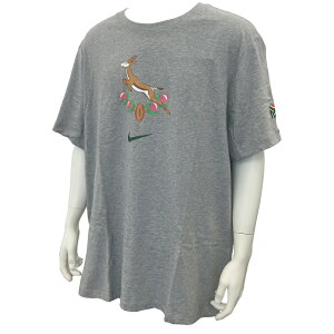 NIKE iCL Or[AtJ\ XvO{NX we[WTVc SPRINGBOKS MNK HERITAGE GPX TEE IB6853-063
