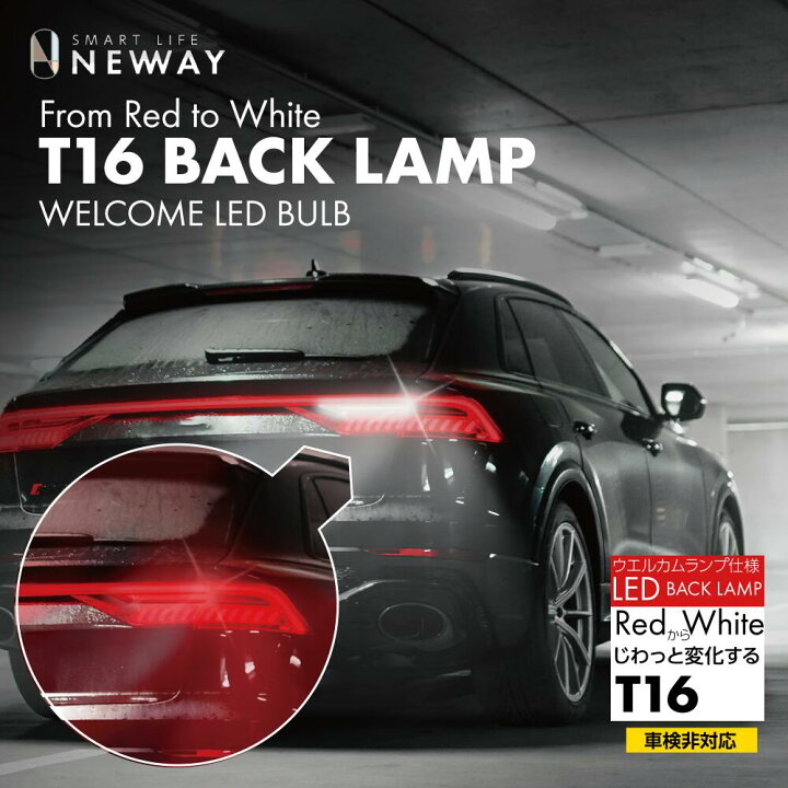 楽天市場】【ポイント増量！】GraphicRay T16 ウェルカムバルブ バック 