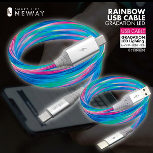 RGB�O���f�[�V�����̌��������I�C���~�l�[�V����USB�P�[�u�� PVC�P�[�u���̗p�ŏ_�炩���Ă��Ȃ₩�ŏ�v �f���ɋ��������u�b�V���̗p �ő�o��3.0A�Ή� �P�[�u����1.0m USB Type-C/Type-C X-286 / T