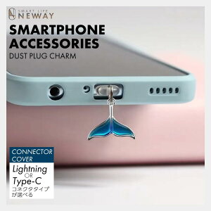 X}z ANZT[ `[ _XgvO RlN^ [d|[g hovO RlN^Jo[ ho ACtH iphone Type-c X}[gtH یLbv RlN^Jo[ Lightning CgjO