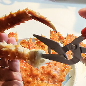 �L���i���[ �yCANARY�z �ւ̐n�� �J�j�p�n�T�~ CR-170