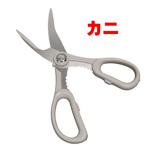 y Silky ( VL[ ) z ւ̐n Jjł Jj