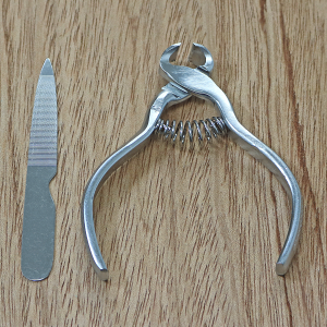 y݌ɏzyÑ򐻍쏊z Z\߂ jbp[^ܐ؂  qpi lCPA lCpi gȂ݃c[ PApi 悭؂ ̒ tbglC nhlC  y