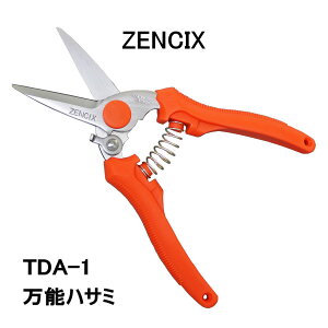 yZENCIXz [VbNX \nT~ TDA-1 ւ̐n